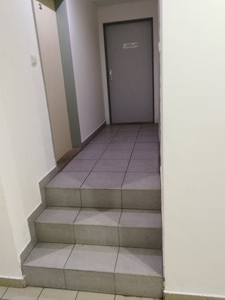 Kdy-vyhodit-odpadky.jpg